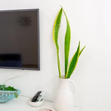 Apartmán Beachfront T2 Costa Nova Surf Aveiro