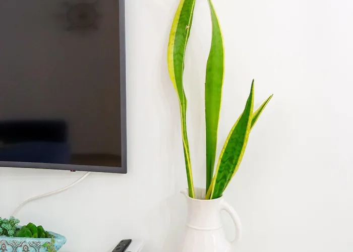 Apartamento Beachfront T2 Costa Nova Surf Aveiro