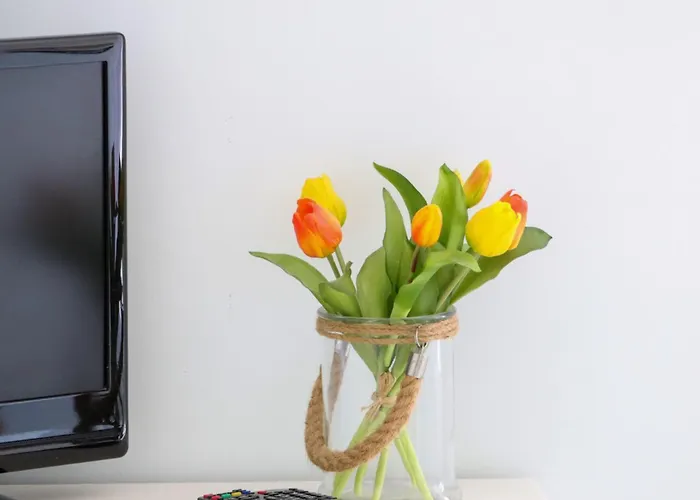 Beachfront T2 Costa Nova Surf Aveiro Gafanha da Encarnacao